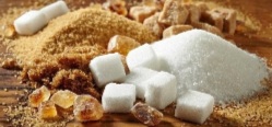 Starch & Sweetener Plants​